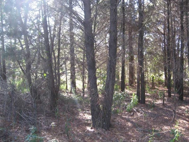 Russell Island QLD 4184