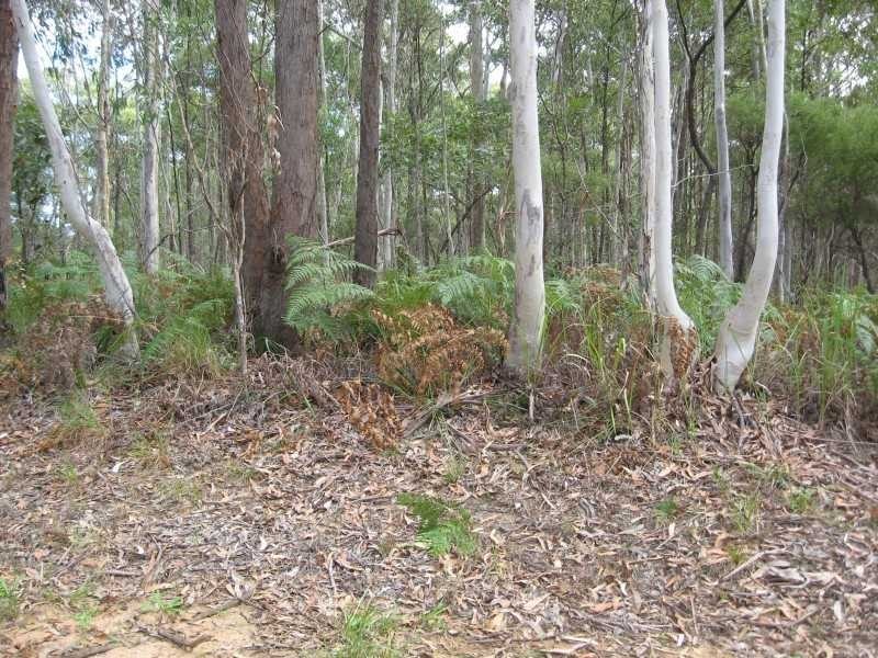 Russell Island QLD 4184