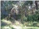 Russell Island QLD 4184
