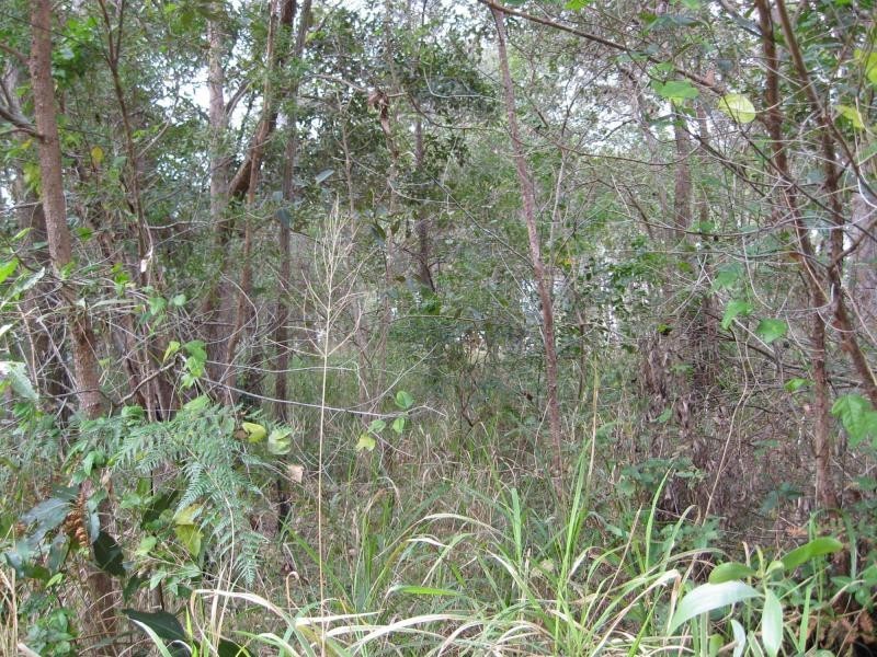 Russell Island QLD 4184