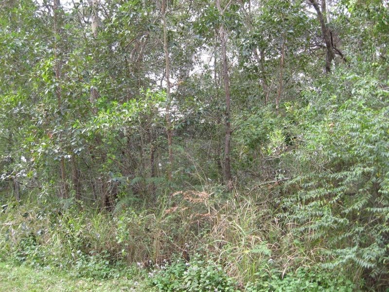 Russell Island QLD 4184