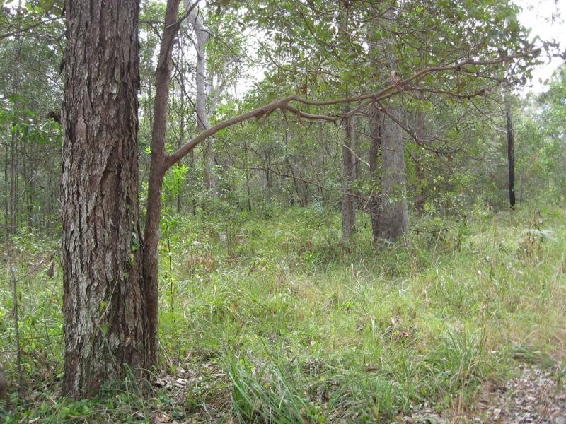 Russell Island QLD 4184