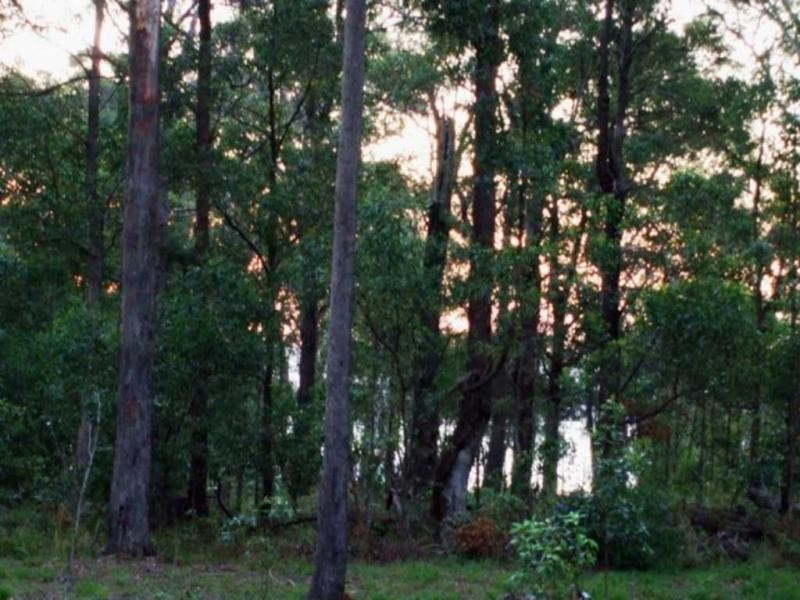 Russell Island QLD 4184