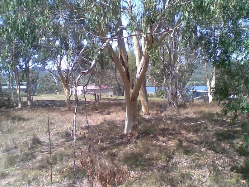 Russell Island QLD 4184