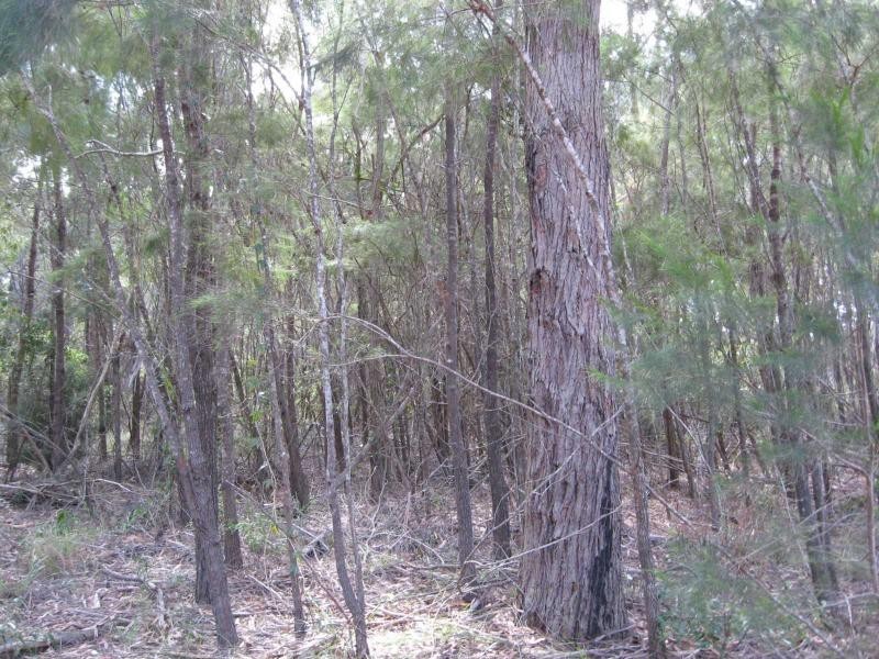 Russell Island QLD 4184