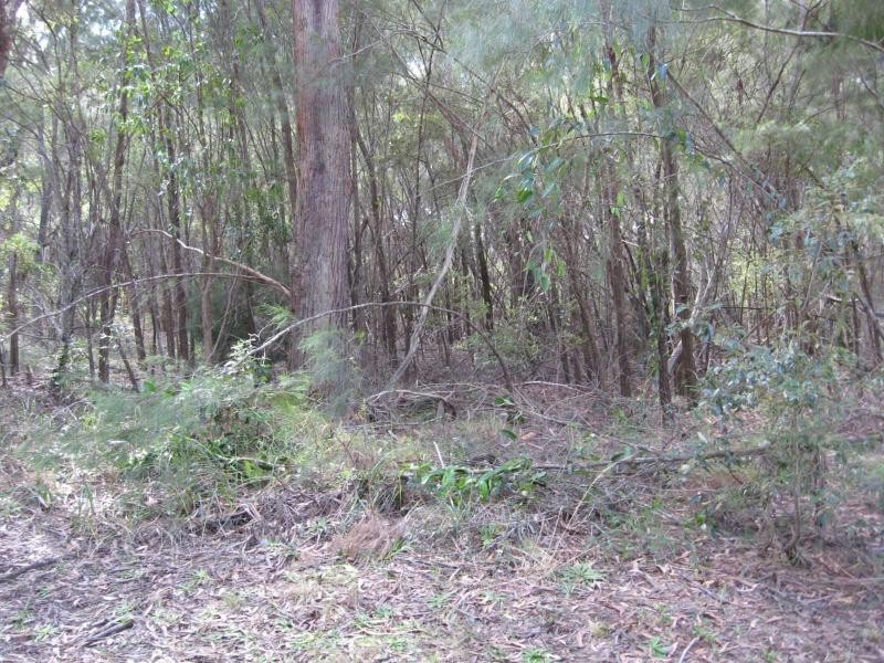 Russell Island QLD 4184