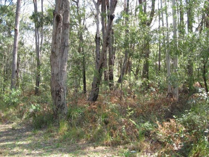 Russell Island QLD 4184