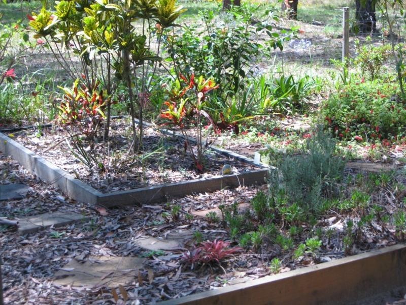 Russell Island QLD 4184