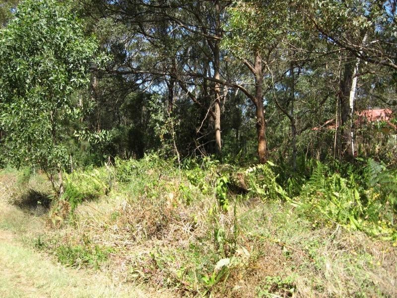 18 Rossi Avenue, Russell Island QLD 4184