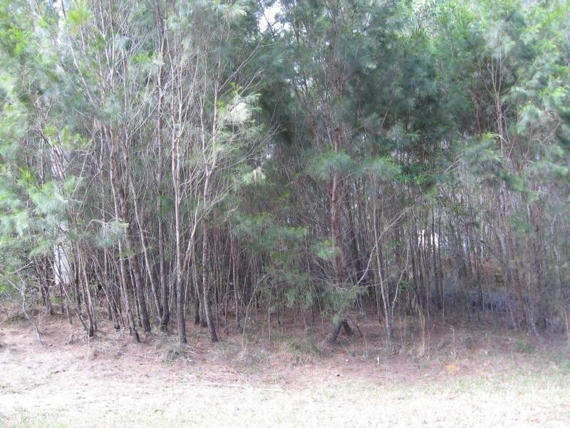 Russell Island QLD 4184
