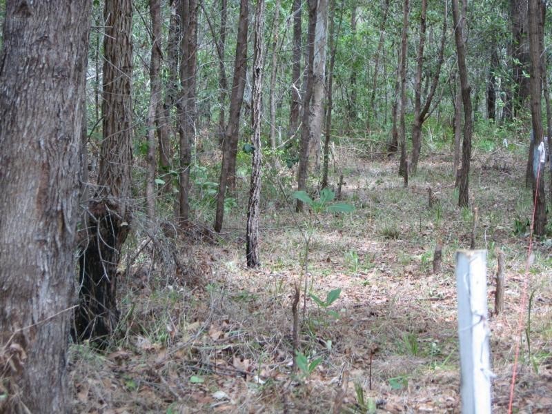 Russell Island QLD 4184