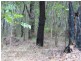 Russell Island QLD 4184