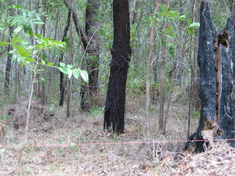 Russell Island QLD 4184