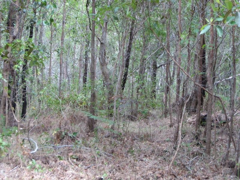 Russell Island QLD 4184
