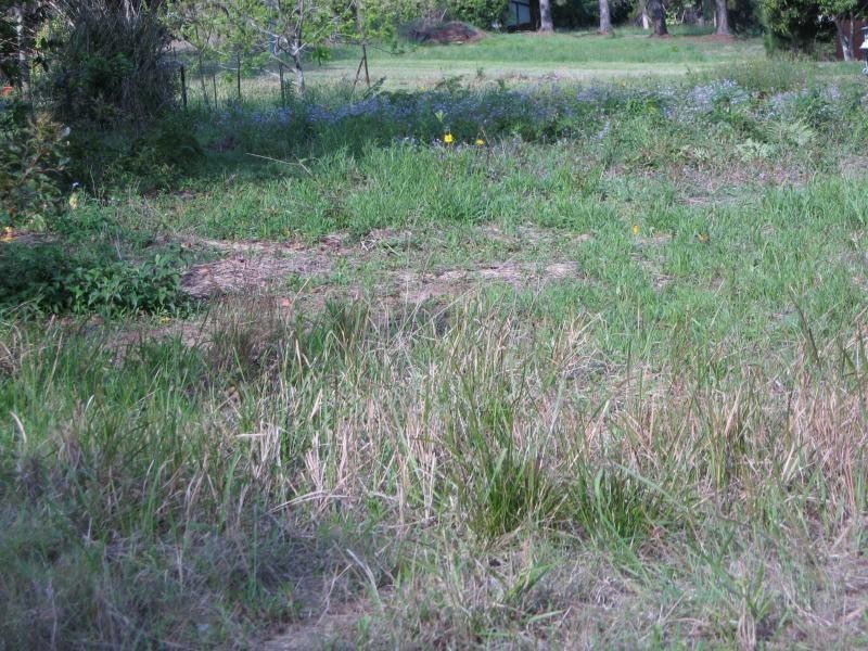 168 High Street, Russell Island QLD 4184