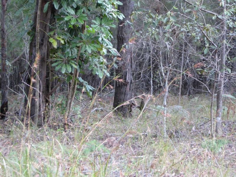 Russell Island QLD 4184