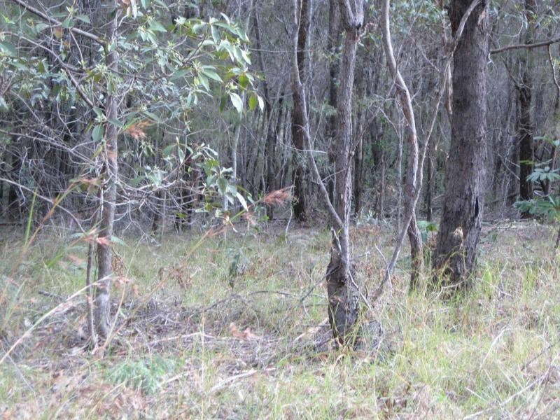 Russell Island QLD 4184