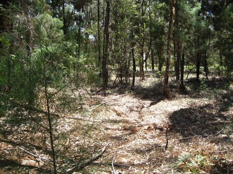 Russell Island QLD 4184