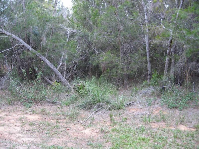 22 Bauhinia Street, Russell Island QLD 4184