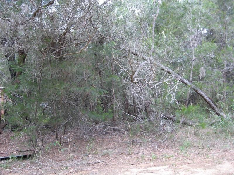 22 Bauhinia Street, Russell Island QLD 4184