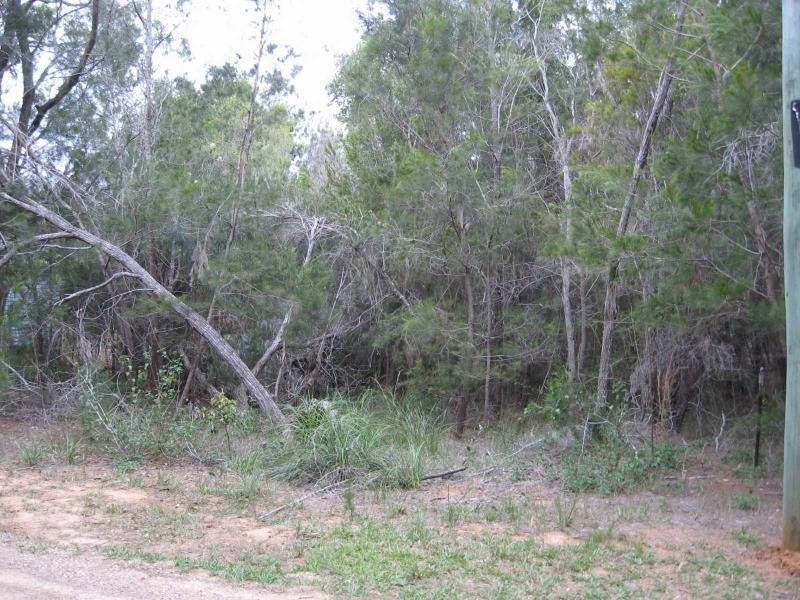 22 Bauhinia Street, Russell Island QLD 4184