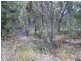 Russell Island QLD 4184