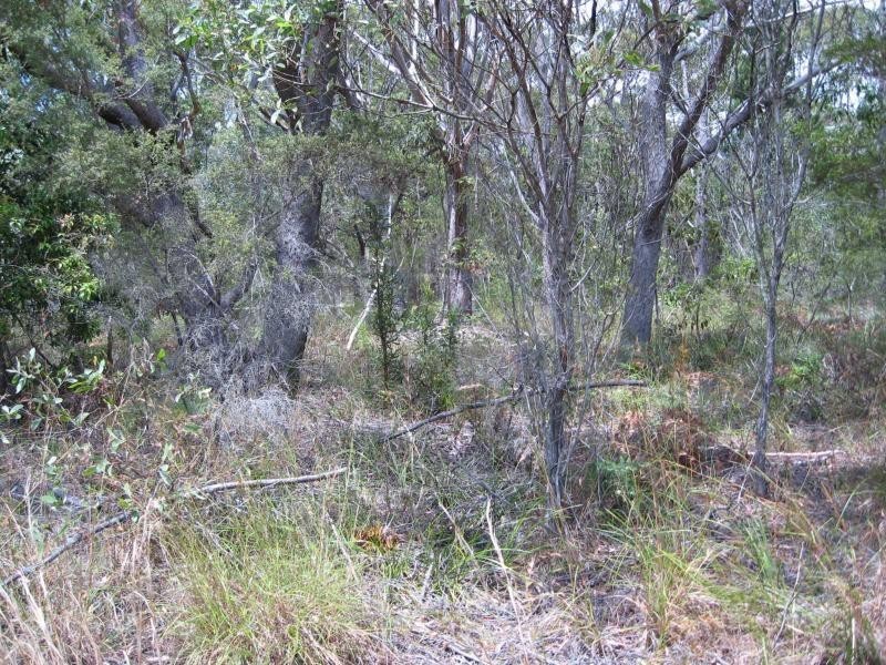 Russell Island QLD 4184