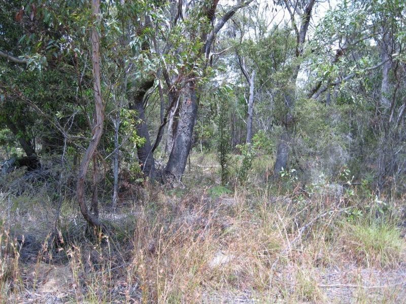 Russell Island QLD 4184