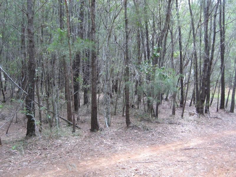 Russell Island QLD 4184