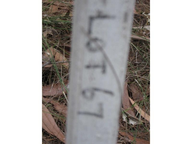 Russell Island QLD 4184