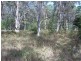 Russell Island QLD 4184