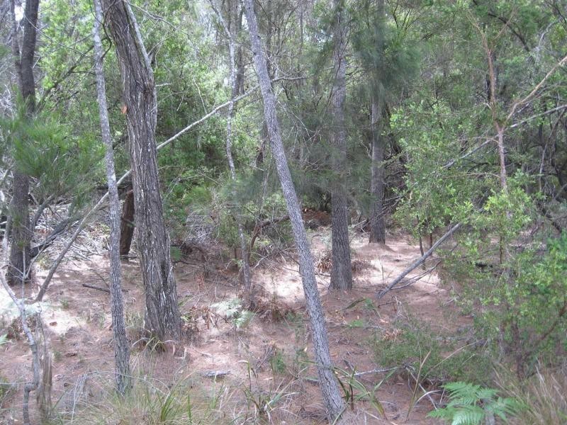 Russell Island QLD 4184