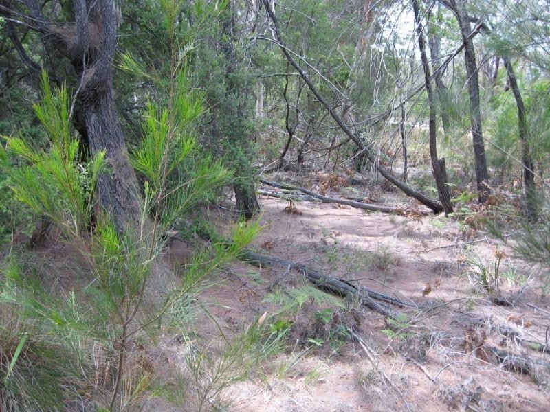 Russell Island QLD 4184