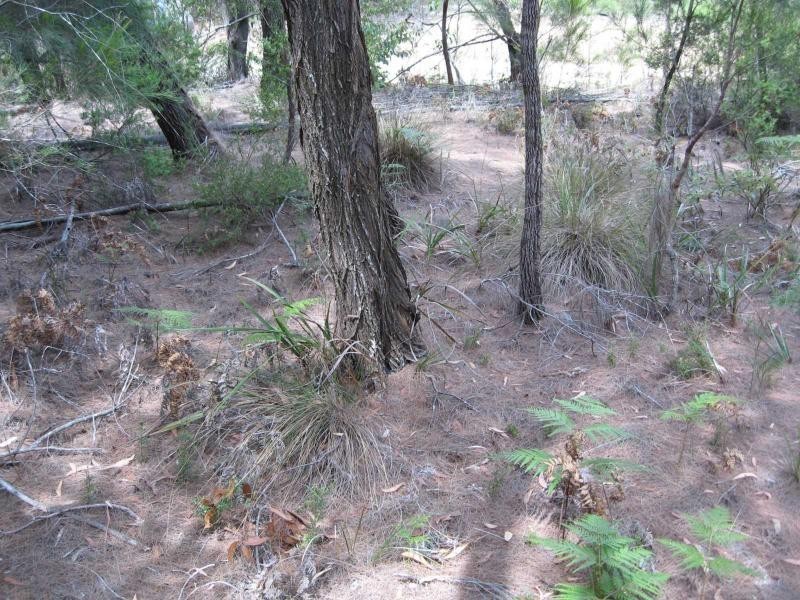 Russell Island QLD 4184