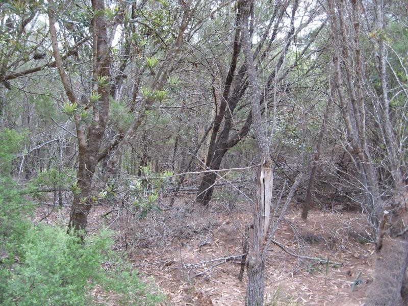 Russell Island QLD 4184