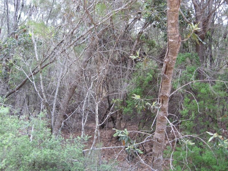 Russell Island QLD 4184