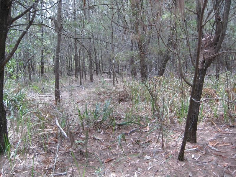 Russell Island QLD 4184