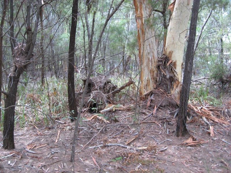 Russell Island QLD 4184