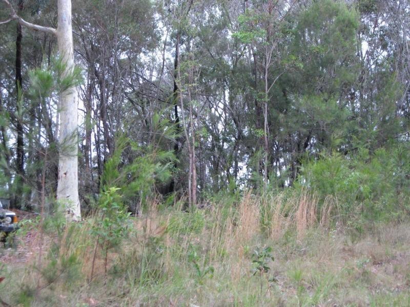 37 Jasper Street, Russell Island QLD 4184