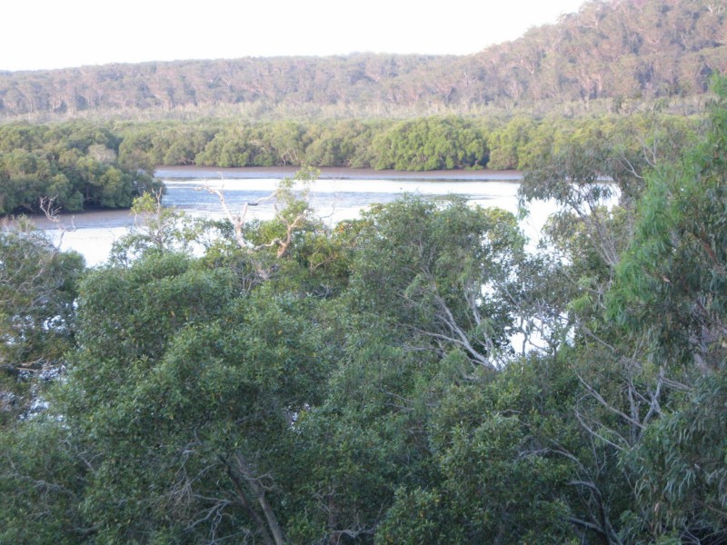 129 Canaipa Point Drive, Russell Island QLD 4184