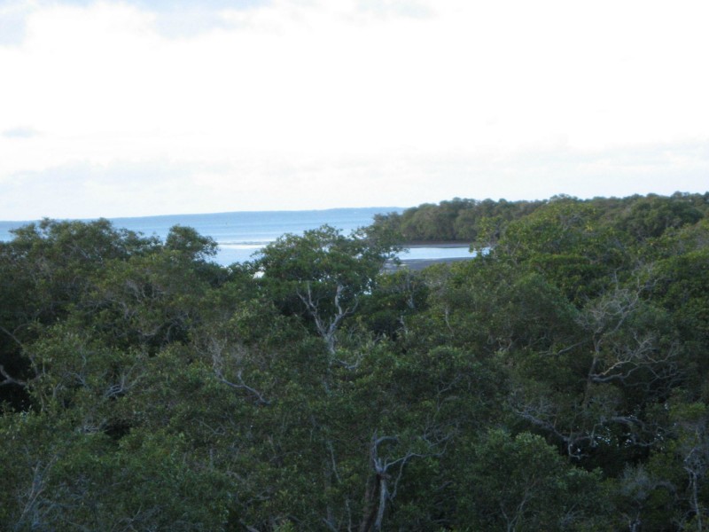 129 Canaipa Point Drive, Russell Island QLD 4184