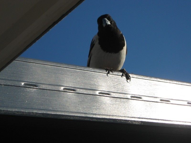 Russell Island QLD 4184