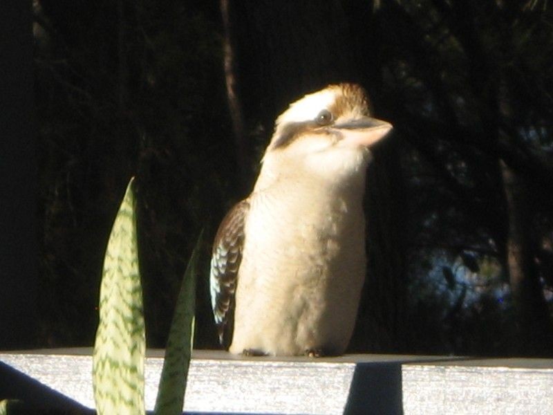 Russell Island QLD 4184