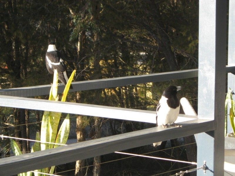 Russell Island QLD 4184