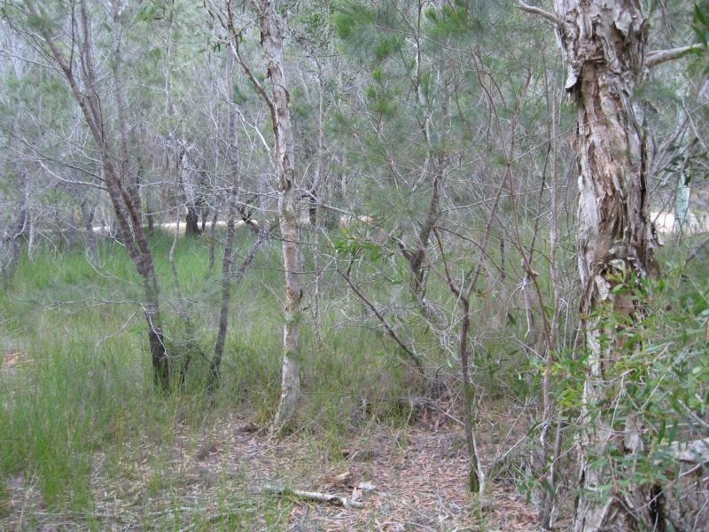 Russell Island QLD 4184