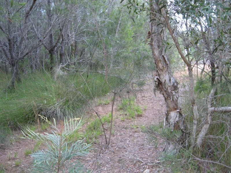 Russell Island QLD 4184