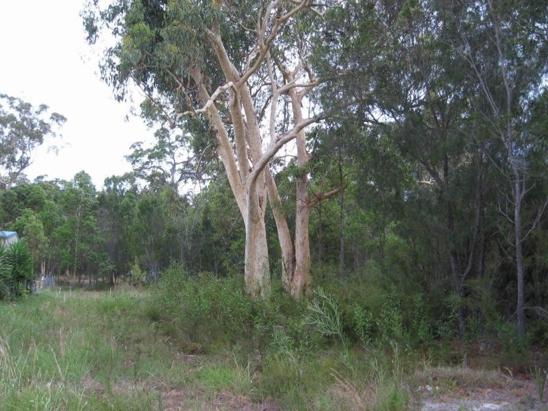 Russell Island QLD 4184