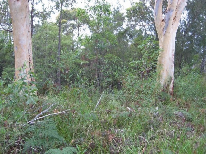Russell Island QLD 4184