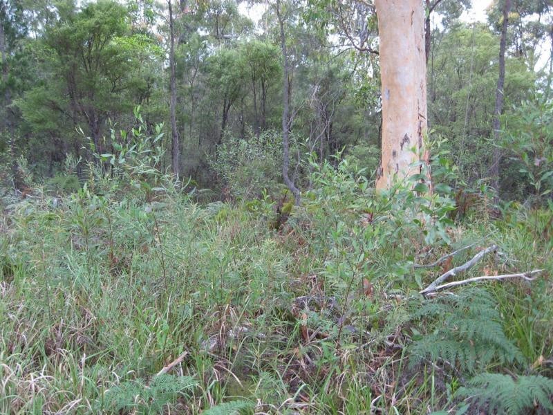 Russell Island QLD 4184