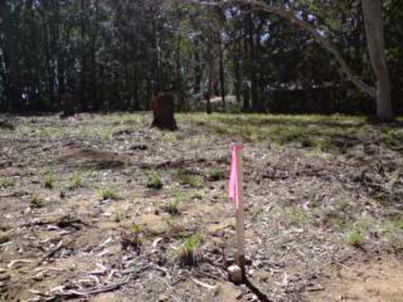 55 Bradman Street, Russell Island QLD 4184